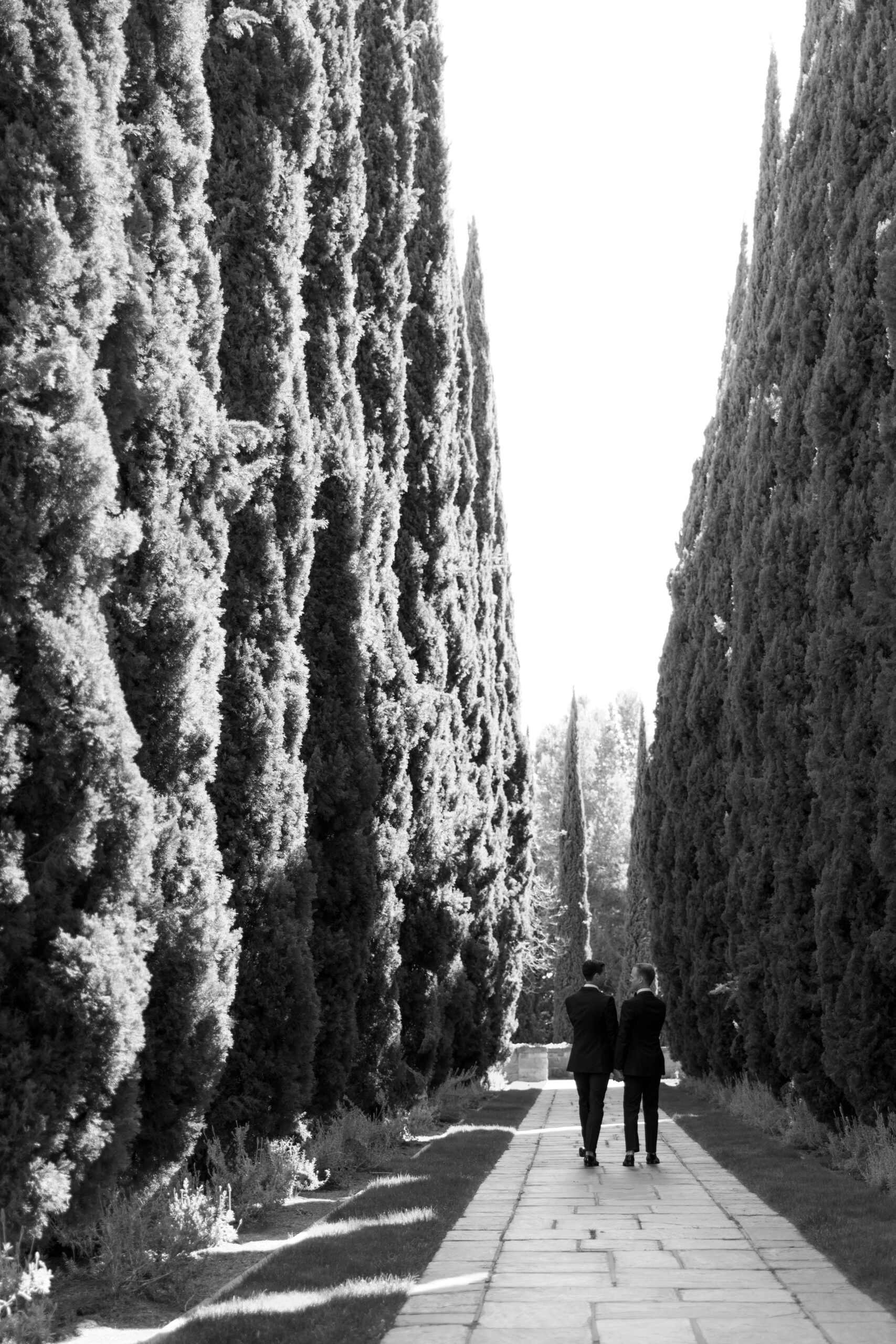 black and white photo of gay holding hands walking through Italian Cyprus lined walkway at Greystone Mansion
