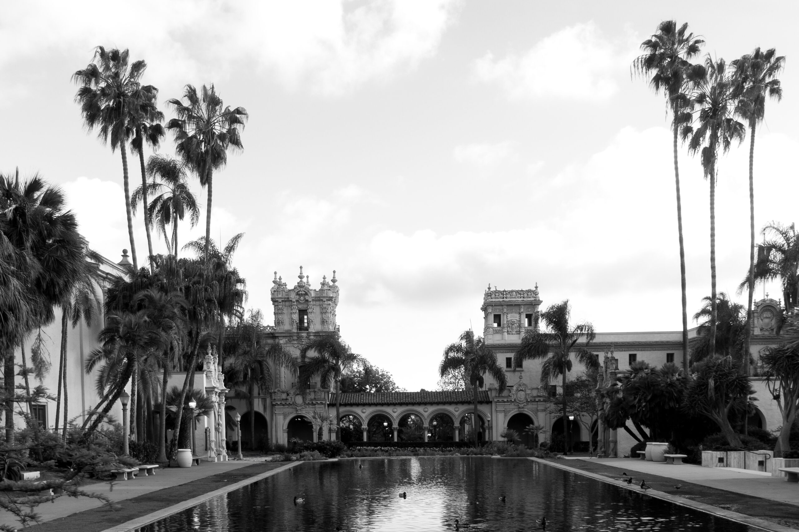 black and white photo of lily pond and palm trees at Balboa Park