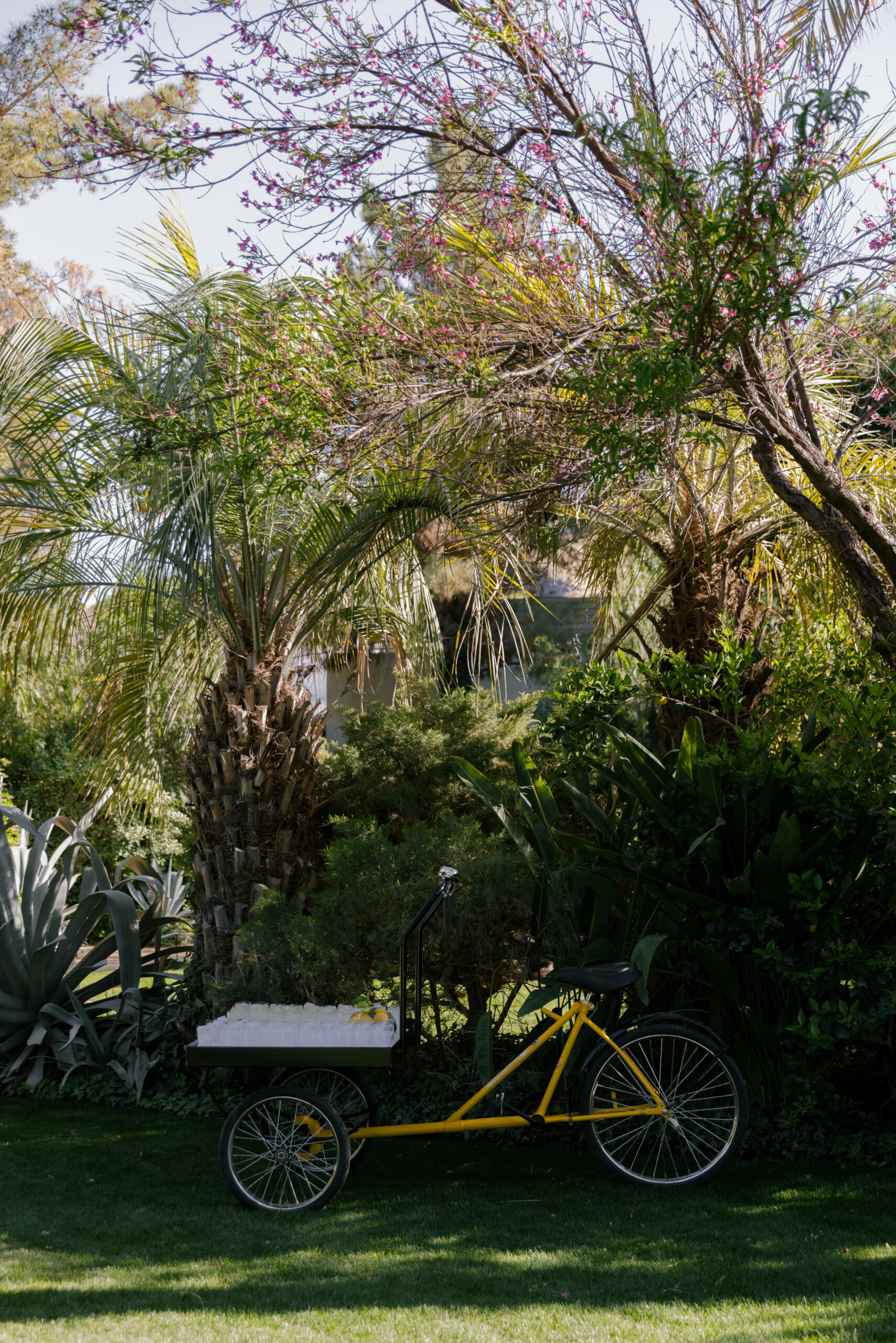 bicycle lemonade cart waiting at cocktail hour for Parker Palm Springs wedding guests